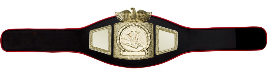 PROEAGLE MMA CHAMPIONSHIP BELT - PROEAGLE/G/MMAG - AVAILABLE IN 6+ COLOURS PROEAGLE MMA CHAMPIONSHIP BELT - PROEAGLE/G/MMAG - AVAILABLE IN 6+ COLOURS